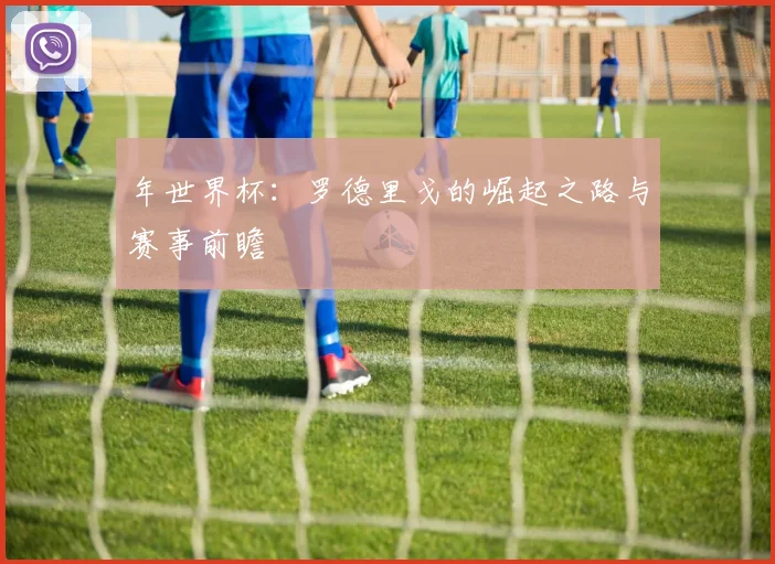 年世界杯：罗德里戈的崛起之路与赛事前瞻